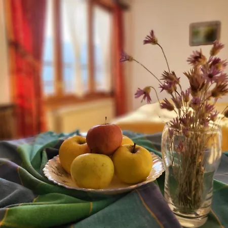 Pensjonat Mountain View Ecovilla 3*