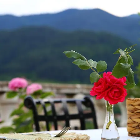 Mountain View Ecovilla Devín