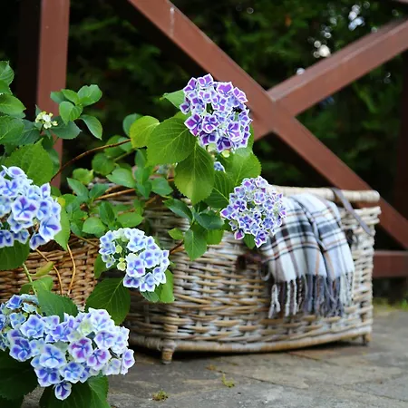 Къща за гости Mountain View Ecovilla