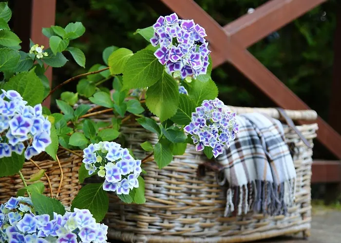 Къща за гости Mountain View Ecovilla